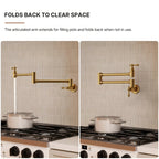 Brass Wall-Mount Pot Filler Kitchen Faucet with Swing Arms LP15W-CF - Brushed Gold