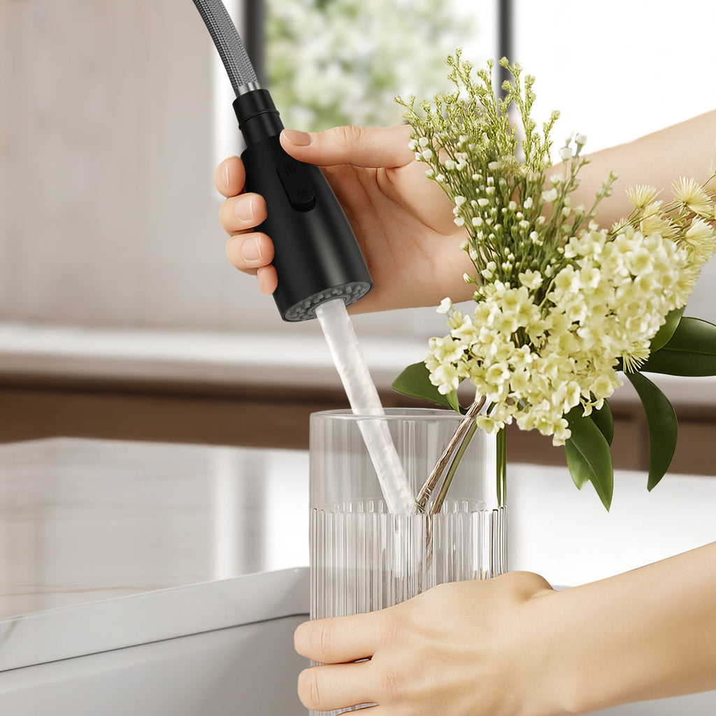 Commercial Dual-Function Pull Down Kitchen Faucet with High Arc Spring Spout SFS-1133-BK - Matte Black
