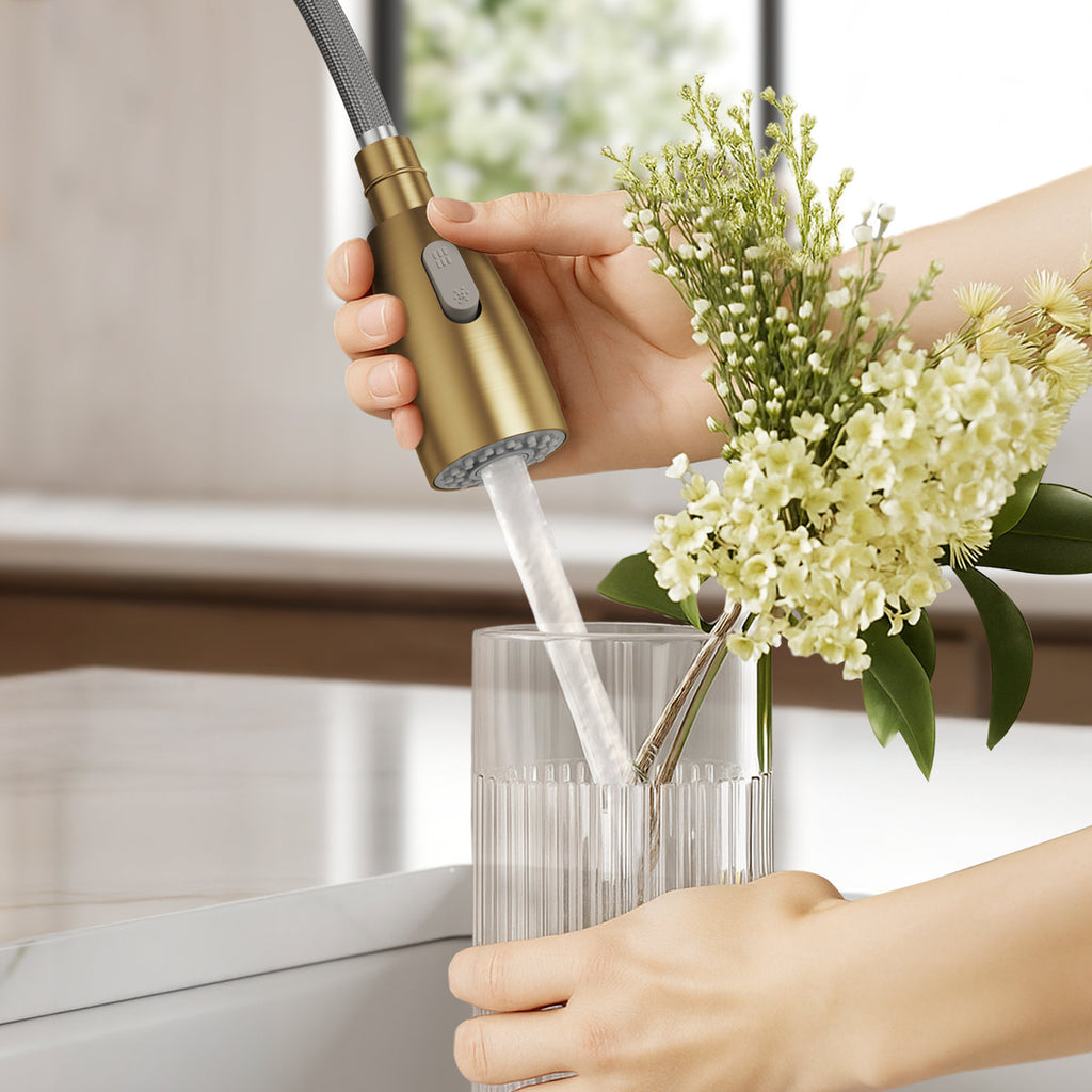 Commercial Dual-Function Pull Down Kitchen Faucet with High Arc Spring Spout SFS-1133-GD - Brushed Gold