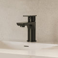 Single Hole Bathroom Faucet with Drain Assembly, Single Handle Bathroom Sink Faucet SFS-1120-BK - Matte Black
