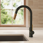 Dual Function Pull-Down Kitchen Faucet , Single Handle Sink Faucet SFS-1176-BK - Matte Black