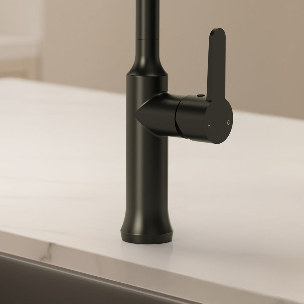Pull-Down Kitchen Faucet with Dual-Function, Single-Handle Sink Faucet with Swivel Spout SFS-1174-BK - Matte Black