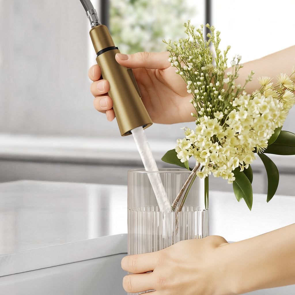 Pull-Down Kitchen Faucet with Dual-Function Sprayer, Single-Handle Sink Faucet SFS-1174-GD - Brushed Gold