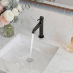 Single-Hole Single-Handle Bathroom Sink Faucet with Drain Assembly SFS-1313B-BK - Matte Black