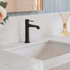 Single-Hole Single-Handle Bathroom Sink Faucet with Drain Assembly SFS-1313B-BK - Matte Black