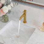Single-Hole Single-Handle Bathroom Sink Faucet with Drain Assembly SFS-1313B-GD - Brushed Gold