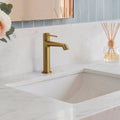 Single-Hole Single-Handle Bathroom Sink Faucet with Drain Assembly SFS-1313B-GD - Brushed Gold