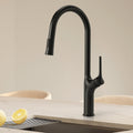 Dual-Function Single-Handle Pull-Down Kitchen Faucet SFS-1300K-BK - Matte Black