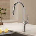 Pull Down Single Handle Kitchen Faucet with Dual Function SFS-1300K-SS - Stainless Steel