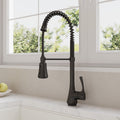 Commercial-Style 2-Function Pull-Down Single-Handle Kitchen Faucet SFS-1299K-BK - Matte Black
