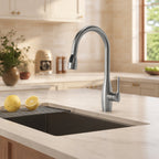 Dual-Function Single-Handle Pull-Down Kitchen Faucet with 360 Degree Swivel Spout SFS-1301K-SS - Stainless Steel