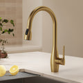 Dual-Function Single-Handle Pull-Down Kitchen Faucet with 360 Degree Swivel Spout SFS-1301K-GD - Brushed Gold