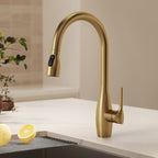 Dual-Function Single-Handle Pull-Down Kitchen Faucet with 360 Degree Swivel Spout SFS-1301K-GD - Brushed Gold