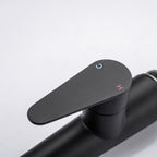 LPVLPV Pull Down Kitchen Faucet CF98003 - Matte Black
