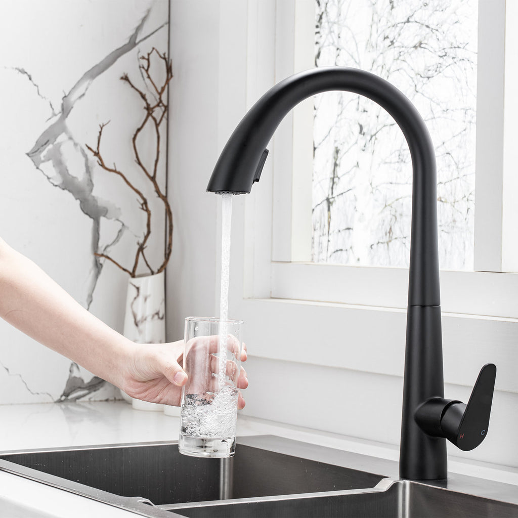 LPVLPV Pull Down Kitchen Faucet CF98003 - Matte Black