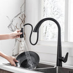 LPVLPV Pull Down Kitchen Faucet CF98003 - Matte Black