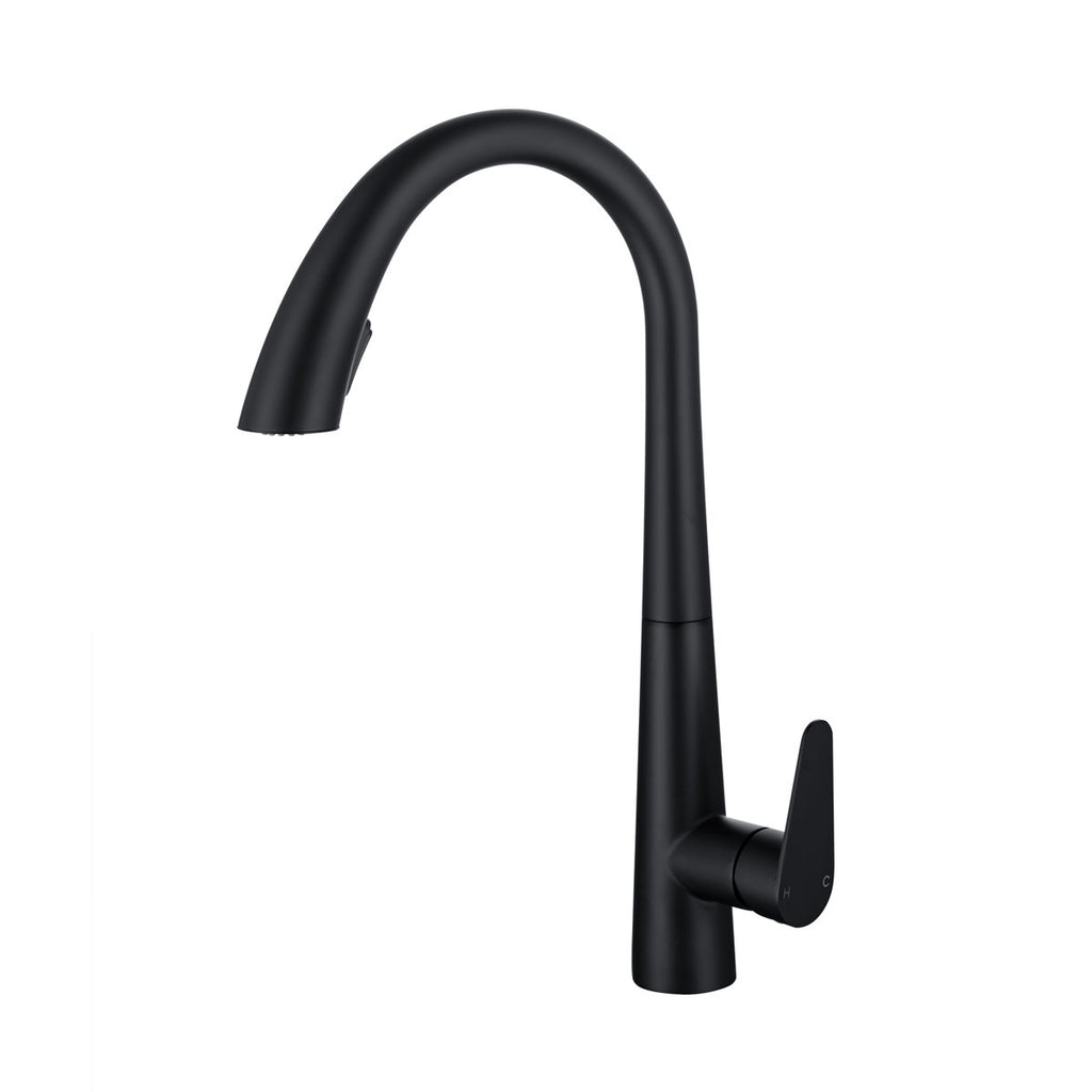 LPVLPV Pull Down Kitchen Faucet CF98003 - Matte Black