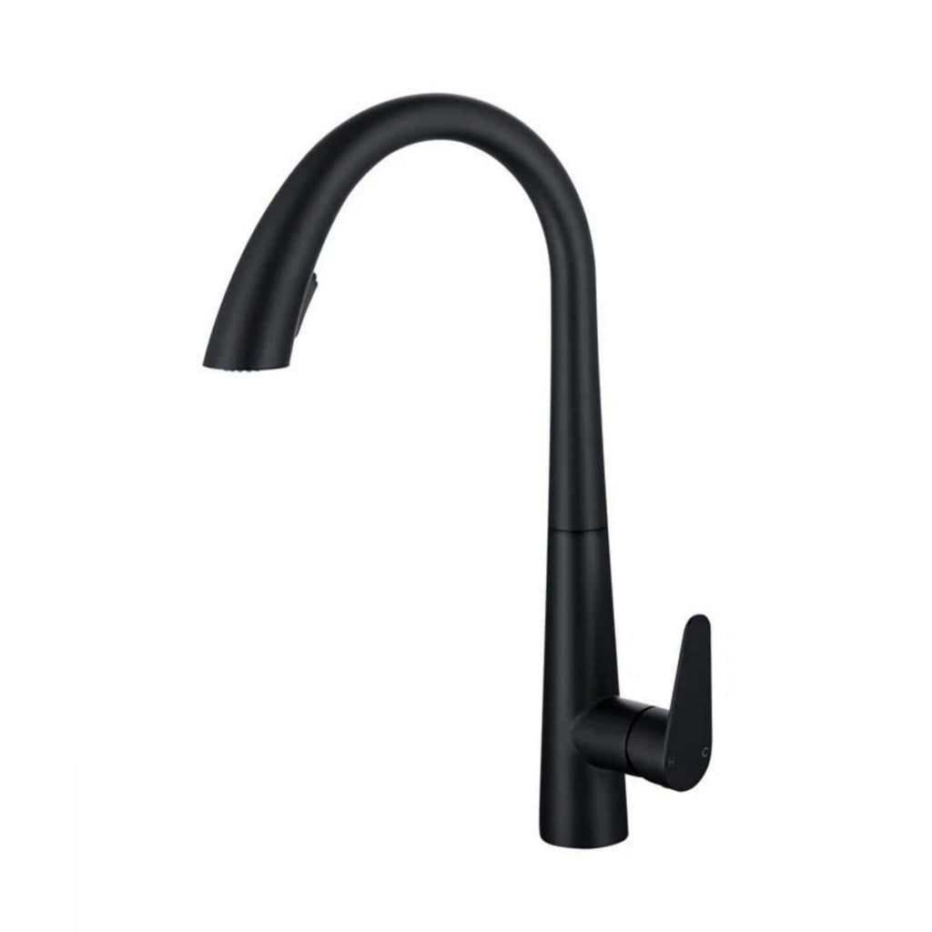 LPVLPV Pull Down Kitchen Faucet CF98003 - Matte Black