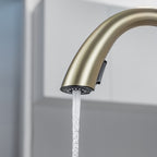 LPVLPV Pull Down Kitchen Faucet CF98004 - Brushed Gold