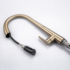LPVLPV Pull Down Kitchen Faucet CF98004 - Brushed Gold