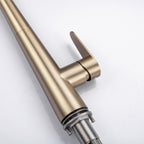 LPVLPV Pull Down Kitchen Faucet CF98004 - Brushed Gold
