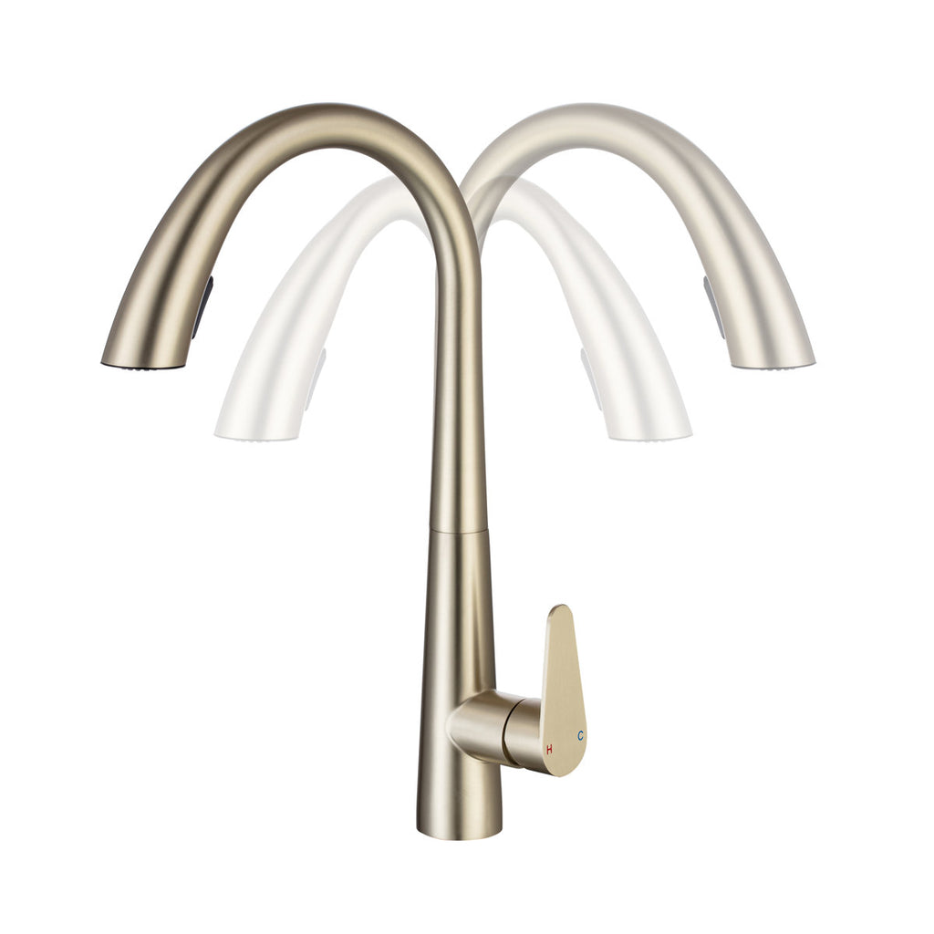 LPVLPV Pull Down Kitchen Faucet CF98004 - Brushed Gold