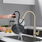 LPVLPV Pull Down Kitchen Faucet CF98004 - Brushed Gold