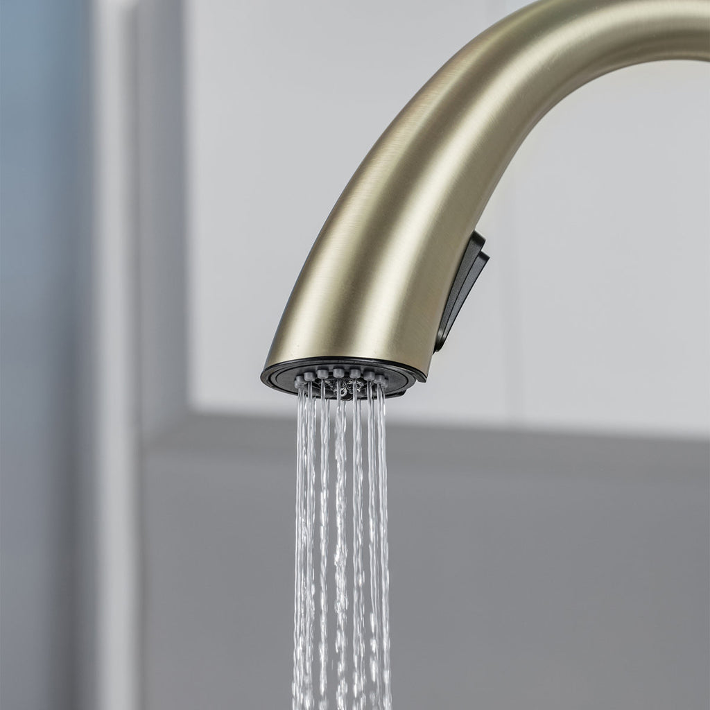 LPVLPV Pull Down Kitchen Faucet CF98004 - Brushed Gold