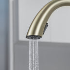 LPVLPV Pull Down Kitchen Faucet CF98004 - Brushed Gold
