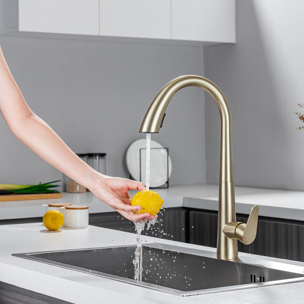 LPVLPV Pull Down Kitchen Faucet CF98004 - Brushed Gold