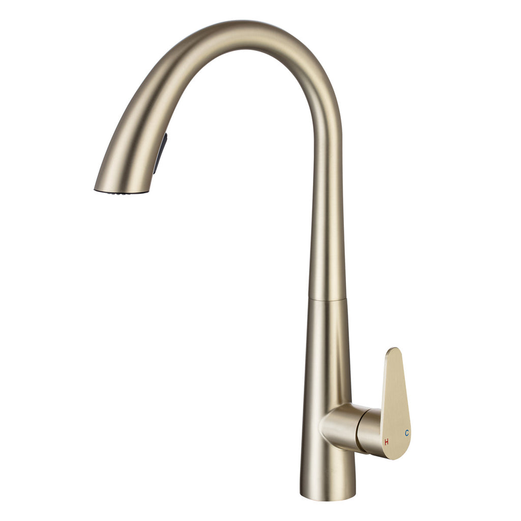 LPVLPV Pull Down Kitchen Faucet CF98004 - Brushed Gold